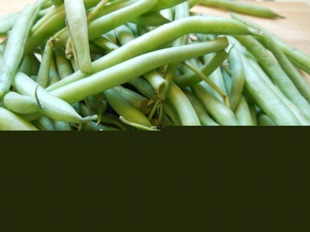fresh green beans