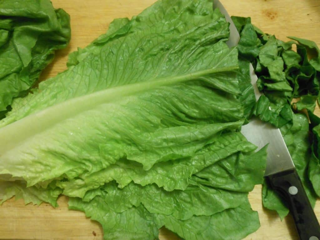romaine
