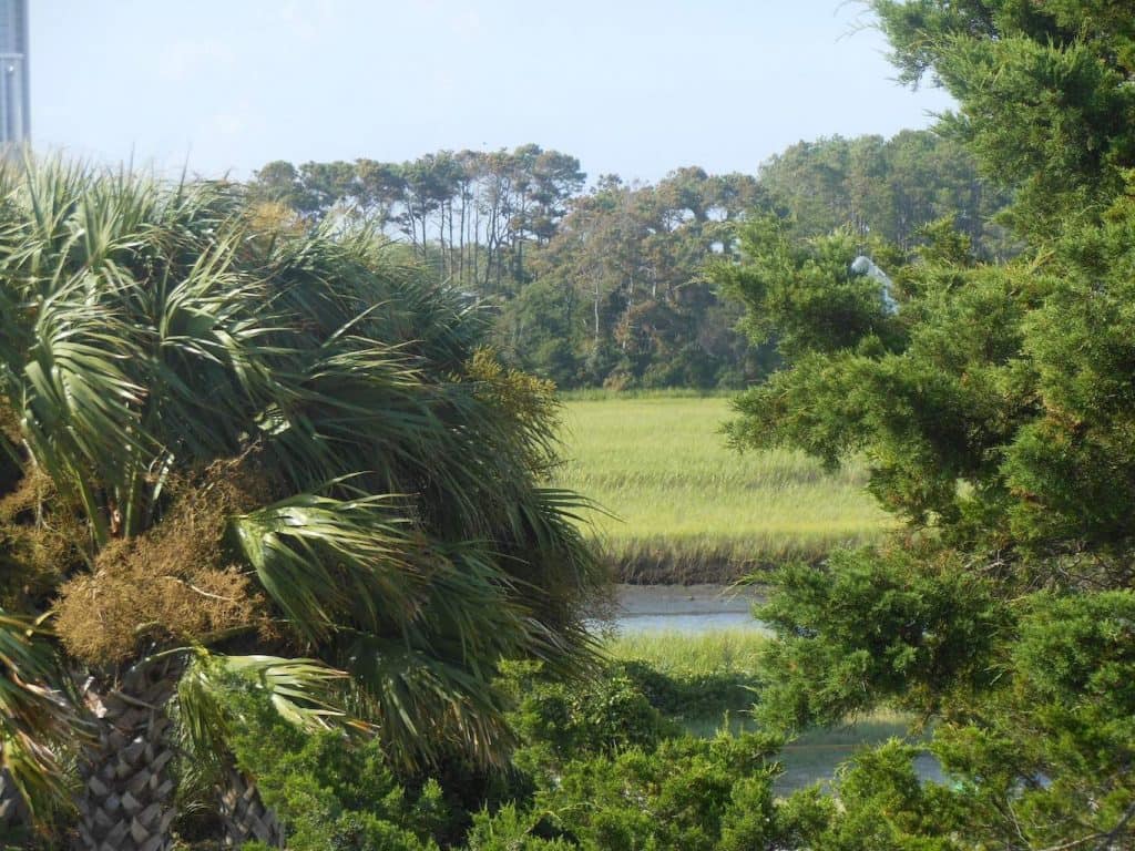 marsh view, Oak Island, NC