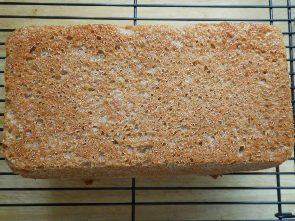 No Knead Whole Wheat Sandwich Bread