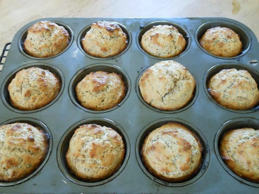 lemon poppy seed muffins