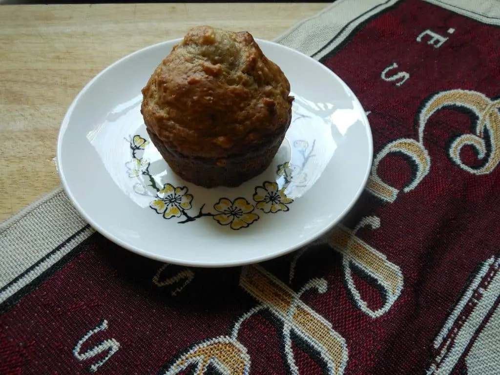 Cranberry Coconut Banana Oat Muffins