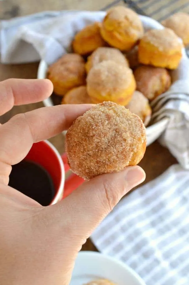 Pumpkin Donut Hole Muffin Recipe