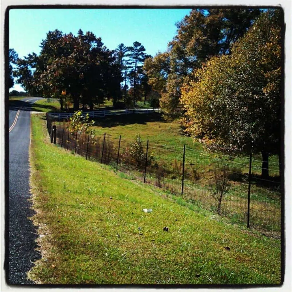 rural North Carolina; Manic Labor Day Monday