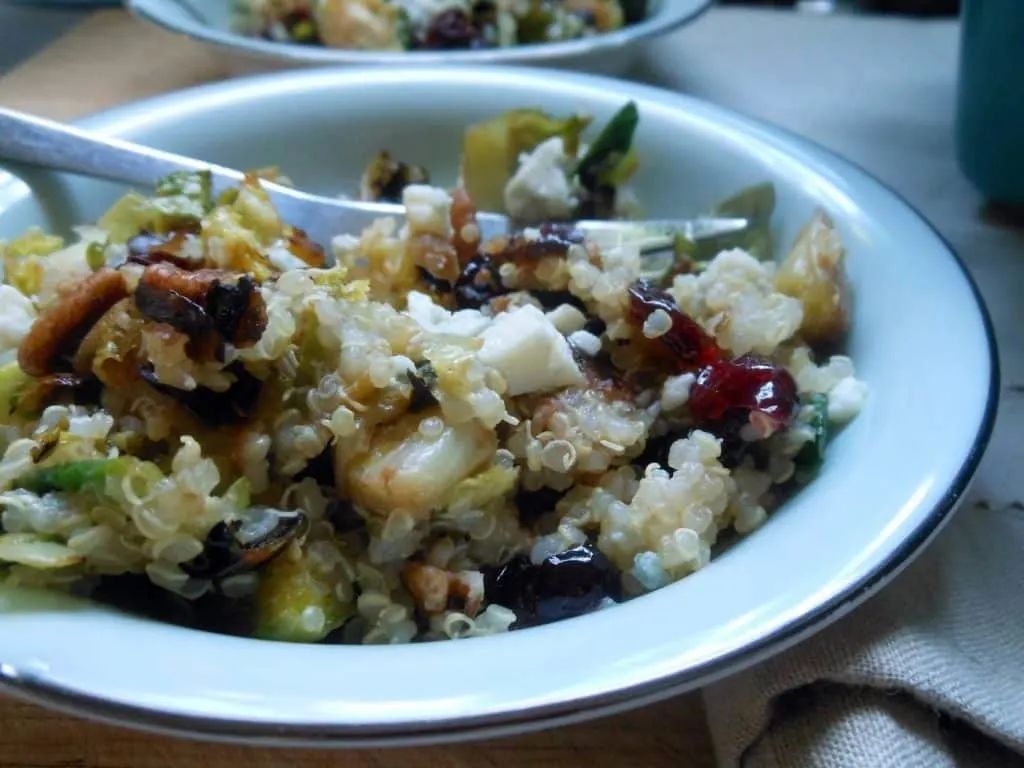 Warm Quinoa Salad with Brussels sprouts + Cranberries + Pecans