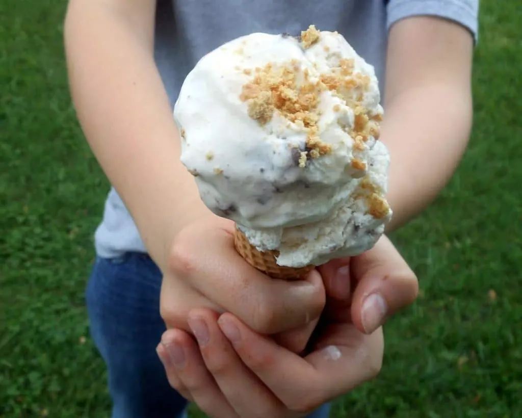 S'mores Brownie Ice Cream