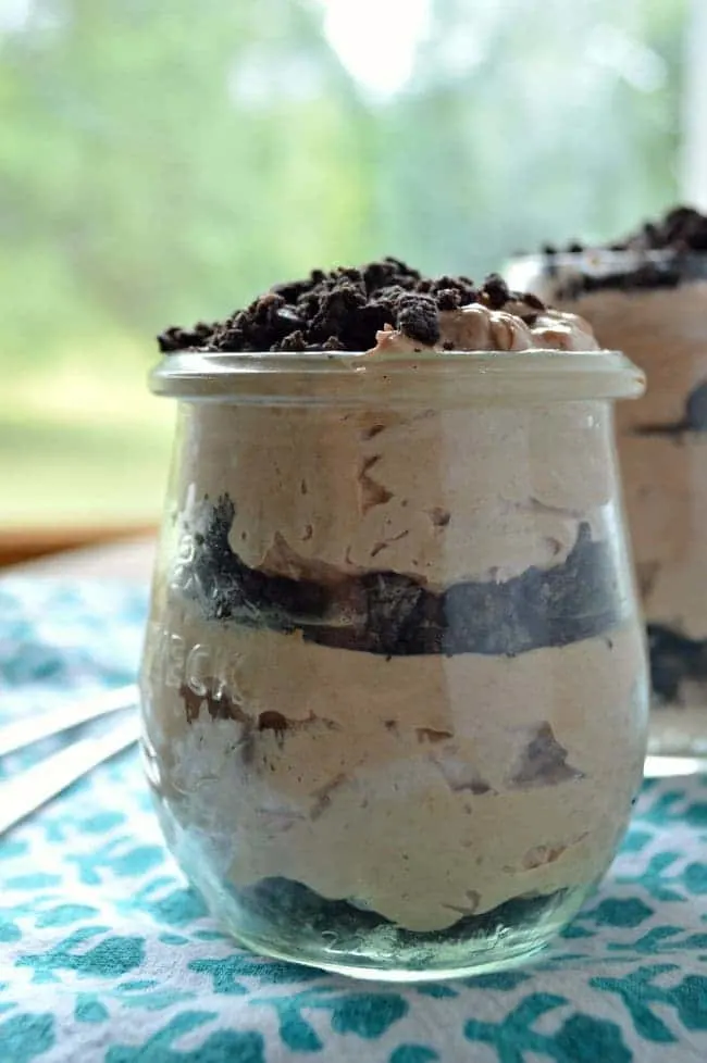 No Bake Nutella Oreo Cheesecake Dessert