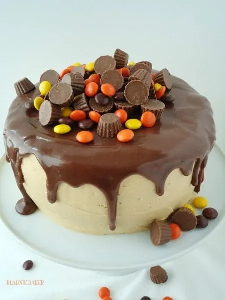 Chocolate Peanut Butter Cake