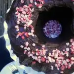 Peppermint Fudge Cake