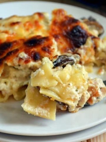 Chicken Lasagna with White Sauce