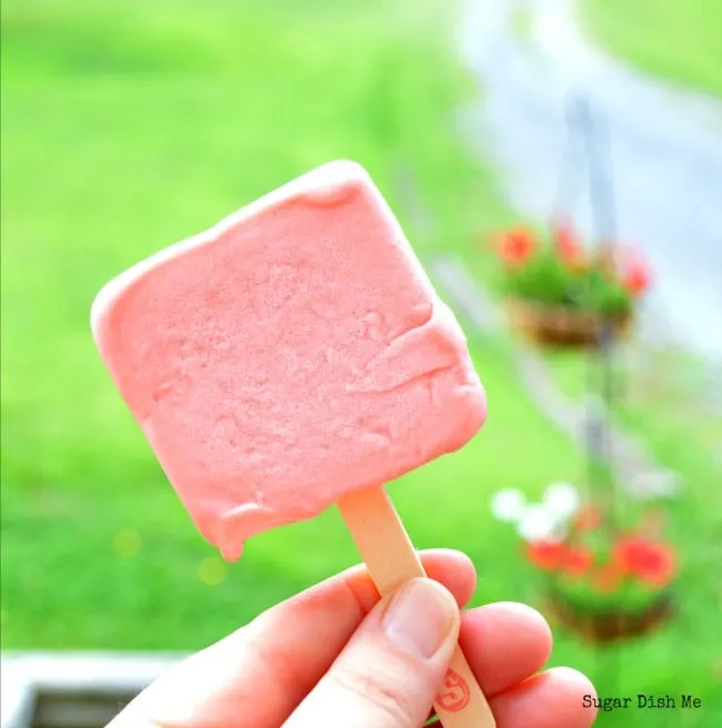 Sorbet Bars