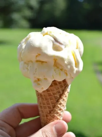 Lemon Ice Cream with Pie Crust