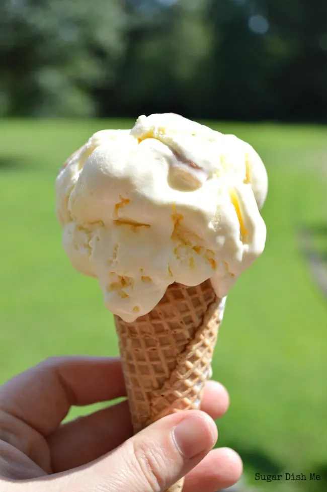 Lemon Ice Cream with Pie Crust