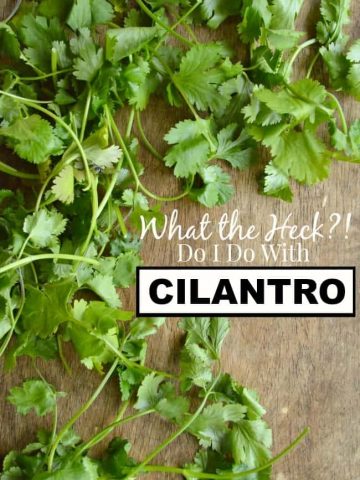 What the Heck Do I Do with Cilantro?