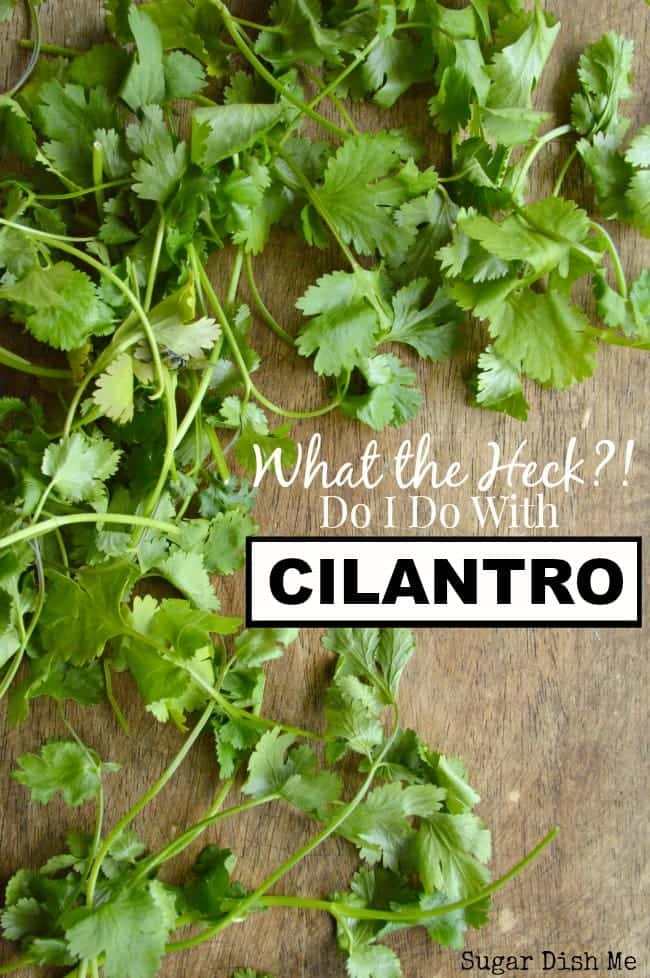 What the Heck Do I Do with Cilantro?