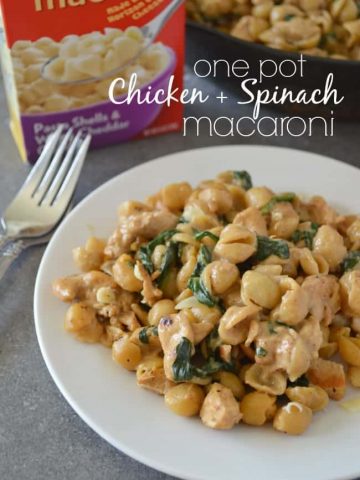 One Pot Chicken and Spinach Macaroni