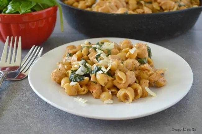 One Pot Chicken and Spinach Macaroni Recipe