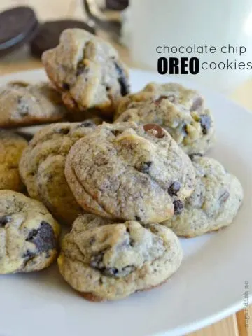 Chocolate Chip Oreo Cookies