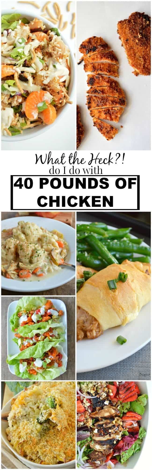 What to do woth 40 Pounds of Chicken