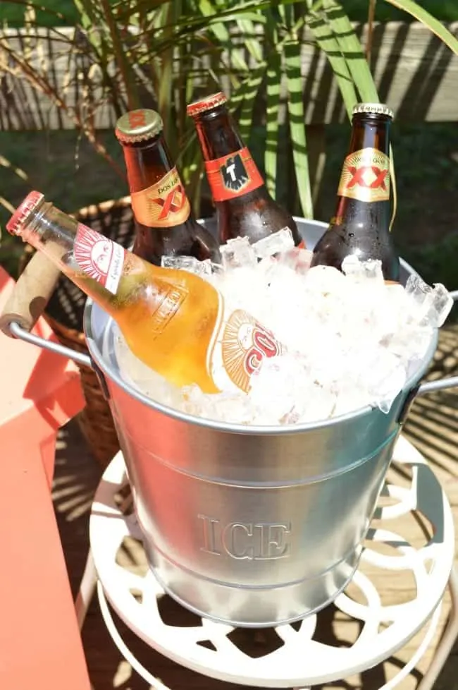 Party Beer Bucket