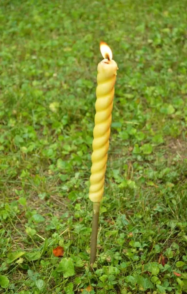 Citronella Candle Stakes