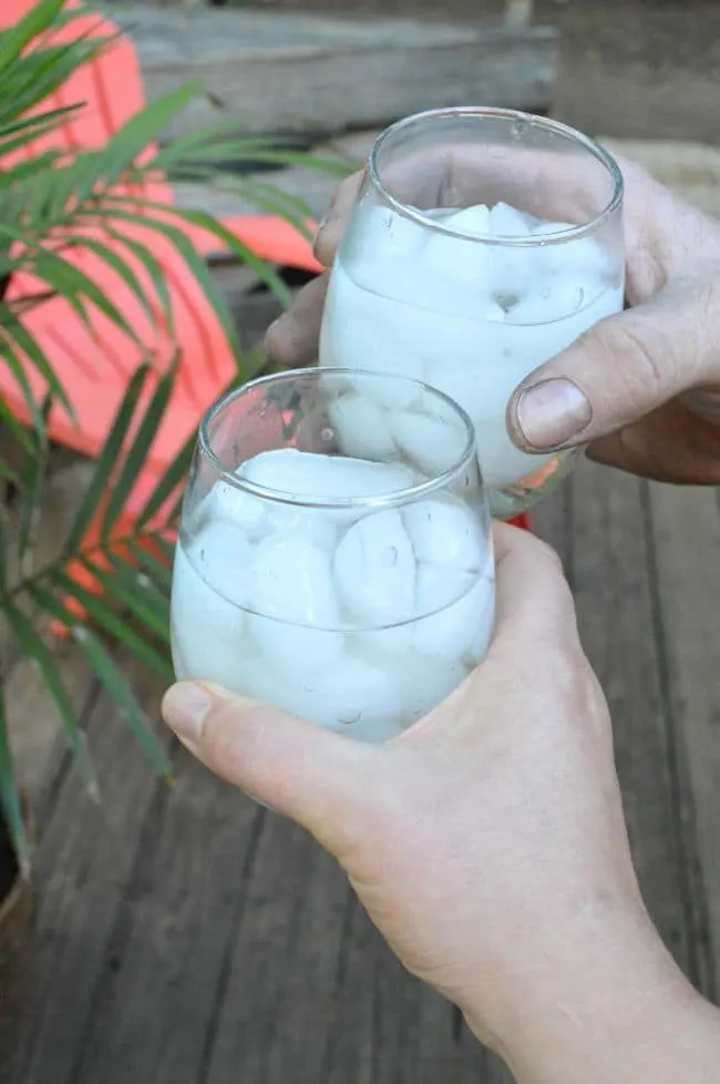 Cheers! Barefoot Refresh