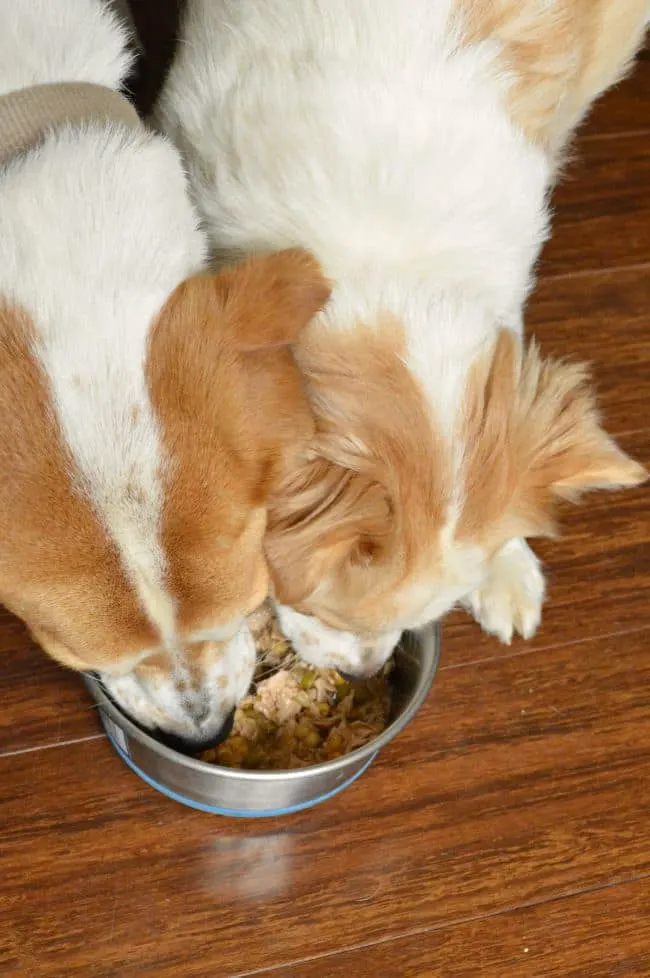 Lucy and Betty share Beneful