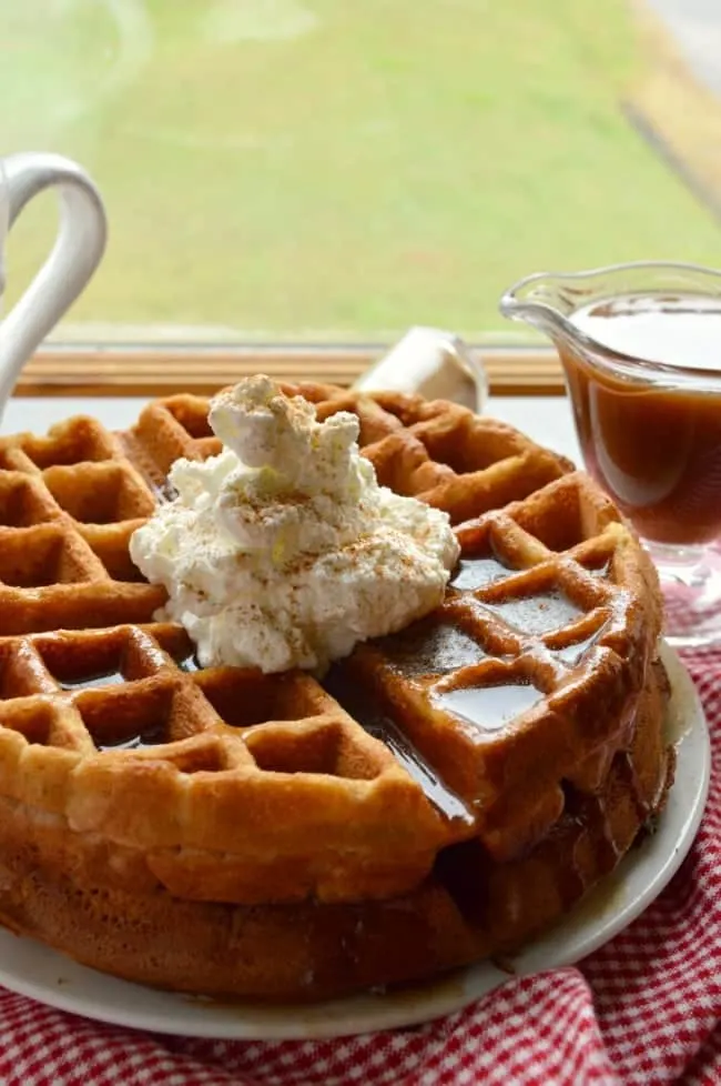 13 Awesome and Weird Waffle Irons to Make Breakfast More Fun