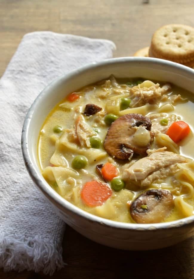 Easy Turkey Tetrazzini Soup