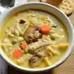 Turkey Tetrazzini Soup Recipe
