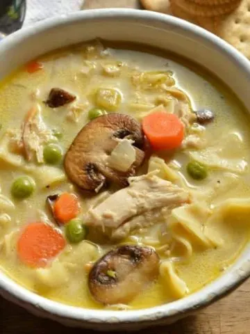 Turkey Tetrazzini Soup Recipe