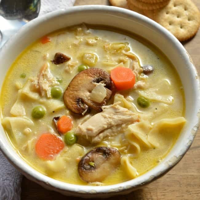 Turkey Tetrazzini Soup Recipe