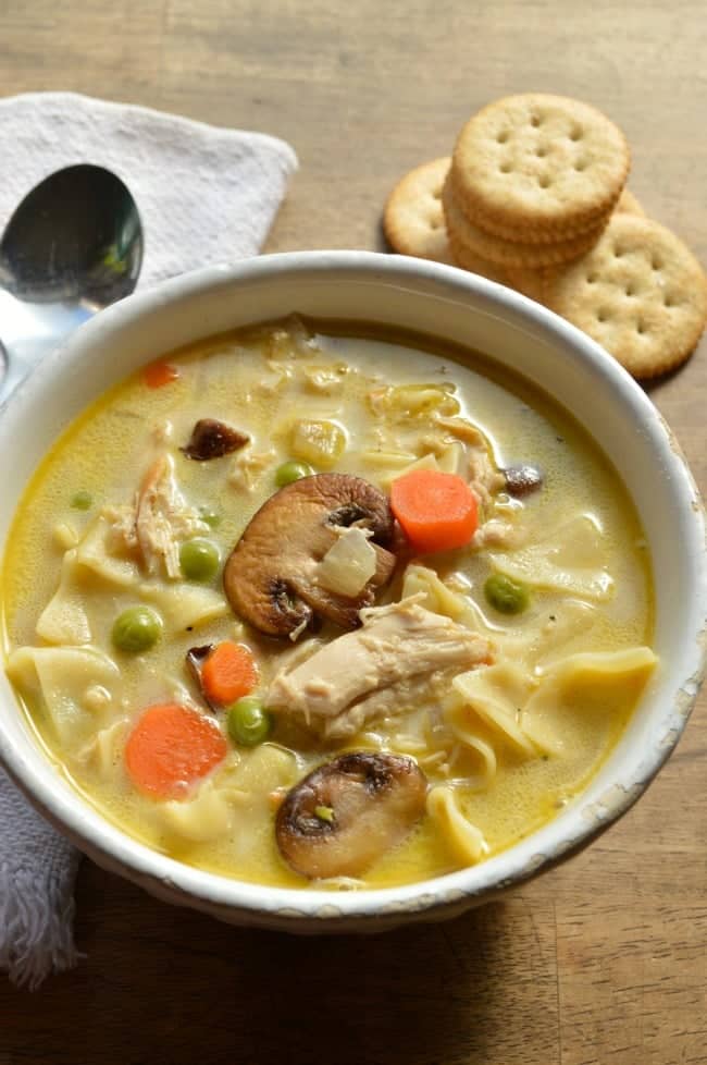 Turkey Tetrazzini Soup Recipe