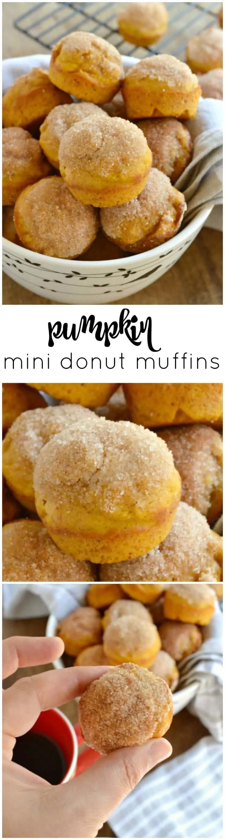 These Pumpkin Mini Donut Muffins are like baked donut holes that are brushed with butter and dipped in cinnamon sugar!