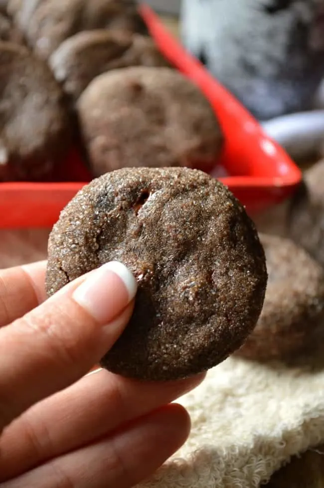 Chewy Ginger Molasses Cookie Recipe