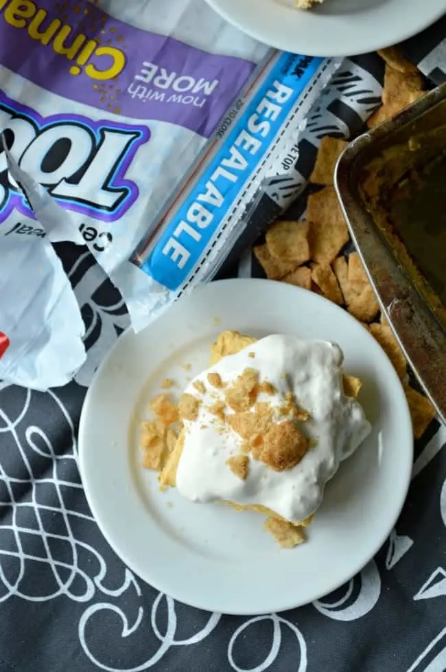 Easy No Bake Pumpkin Cheesecake with a Cinnamon Sugar Crust