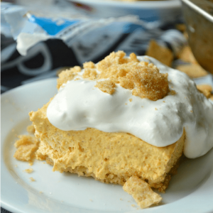 No Bake Pumpkin Cheesecake Squares Recipe