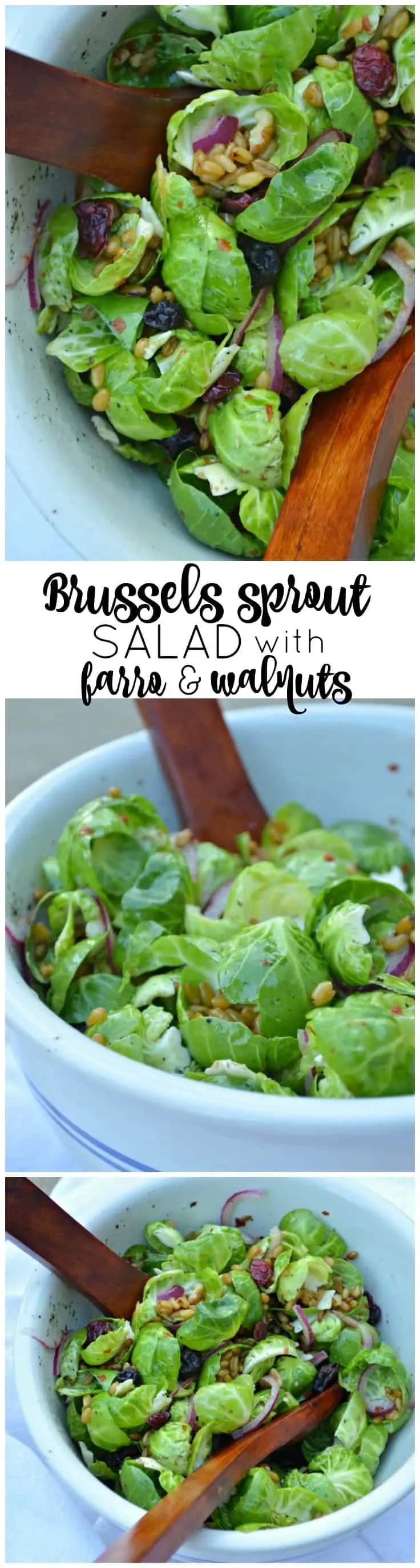 Brussels Sprout Salad with Farro and Walnuts is a crisp, fresh addition to your holiday table!