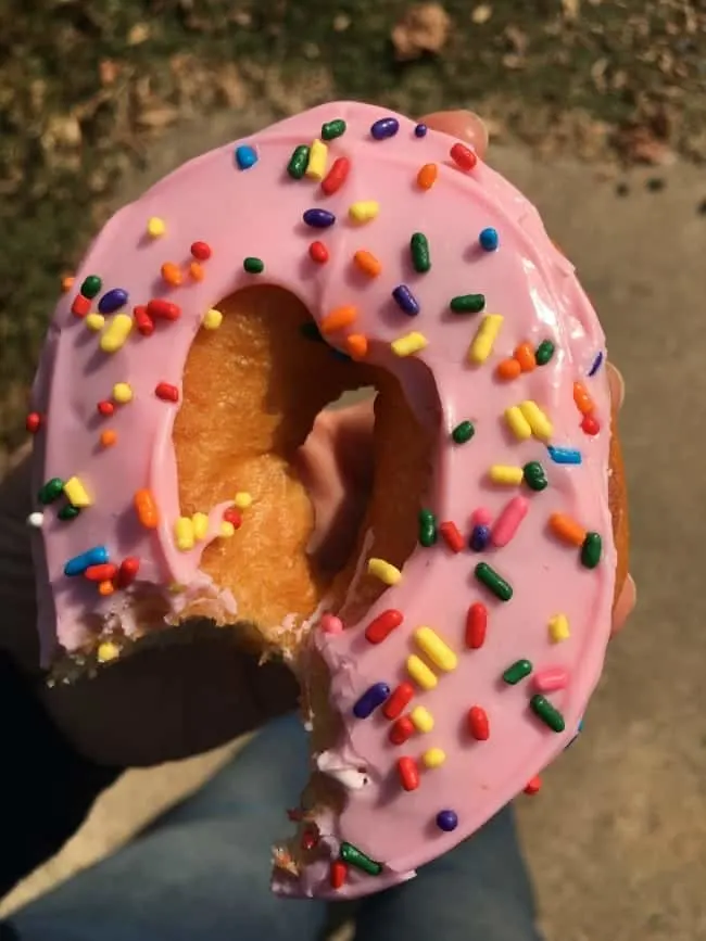 Dunkin' Donuts Sprinkle Donuts