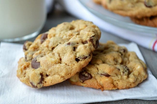 Triple Chocolate Peanut Butter Oat Cookies