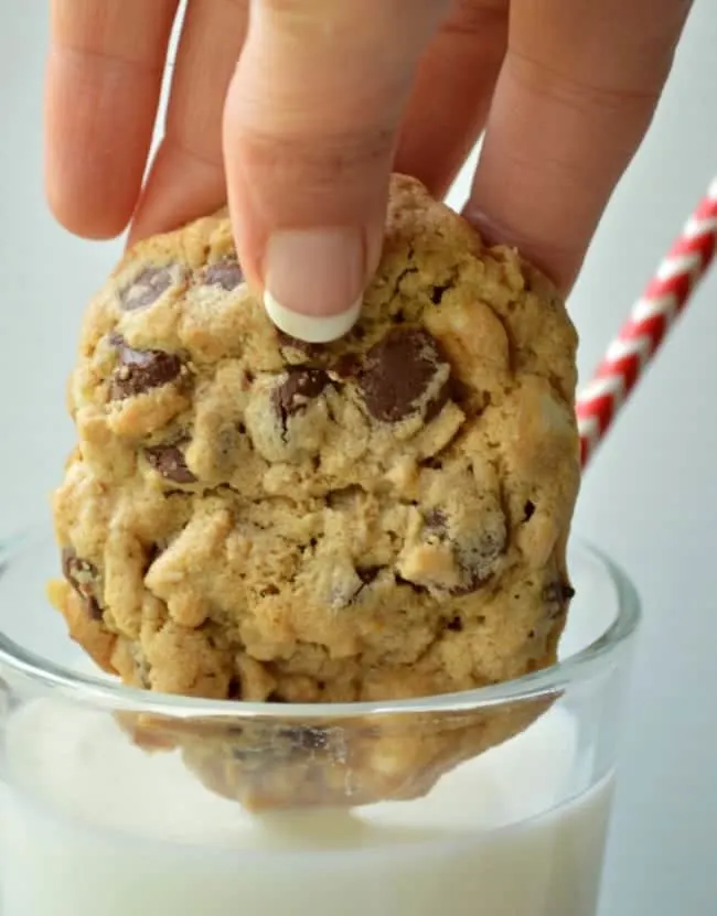 Triple Chocolate Peanut Butter Oatmeal Cookies