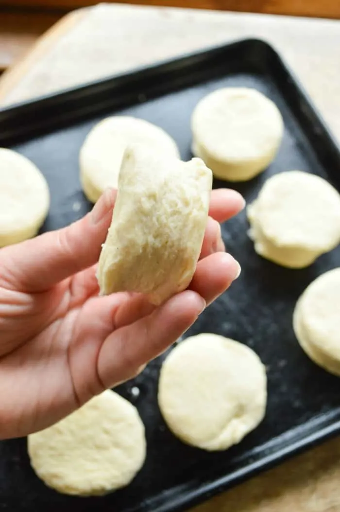 All Butter Biscuit Dough cut into circles; you can see the layers that will bake up into big fat fluffy biscuits!