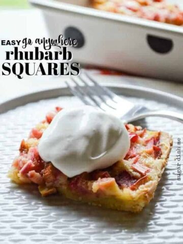 Easy Go Anywhere Rhubarb Squares