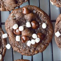 Hot Cocoa Cookies