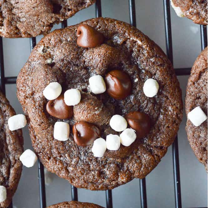 Hot Cocoa Cookies are chocolate with chocolate chips and are covered in little mallow bits