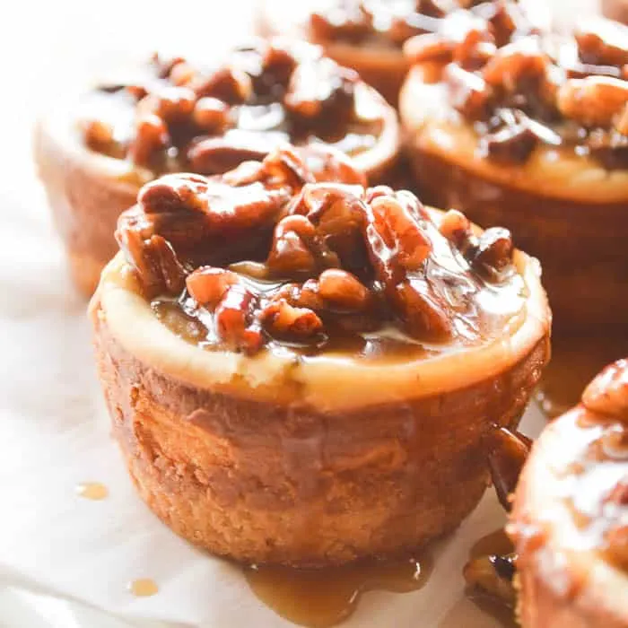 Square close up image of little spiced rum pecan cheesecakes