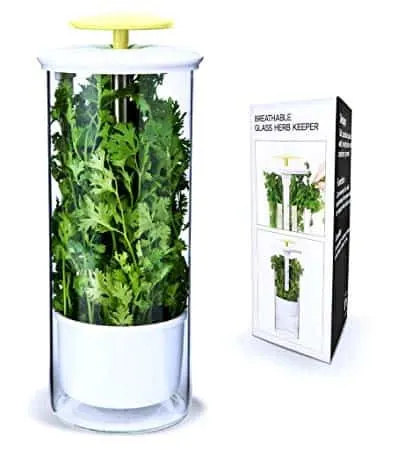 Premium Herb Keeper and Herb Storage Container – Extra Large Glass Design Keeps Greens and Vegetables Fresh for 2x Longer – By NOVART