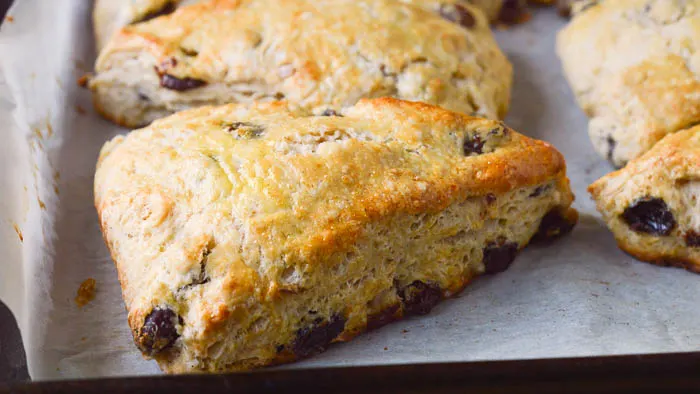 Rum Raisin Scones straight from the oven on a parchment lined baking sheet for cooling. They are brushed with an egg wash before baking giving the tops a pretty golden brown color.