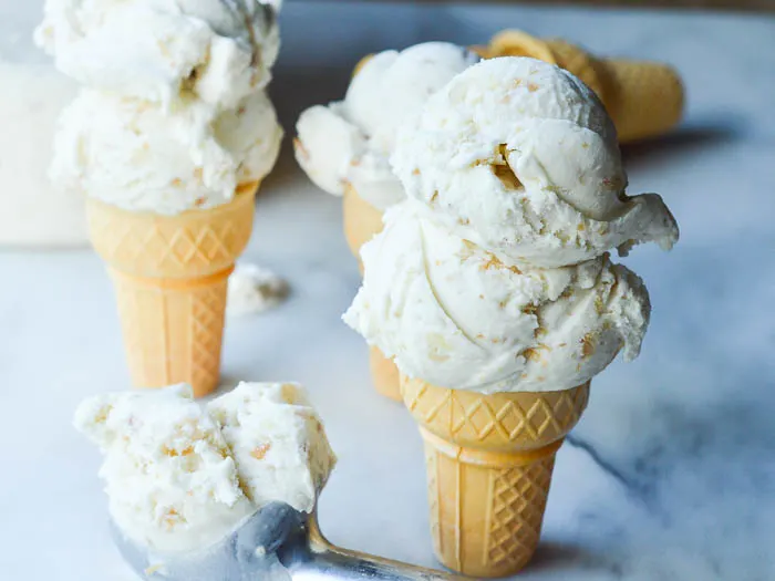 Coconut Macadamia Nut Ice Cream