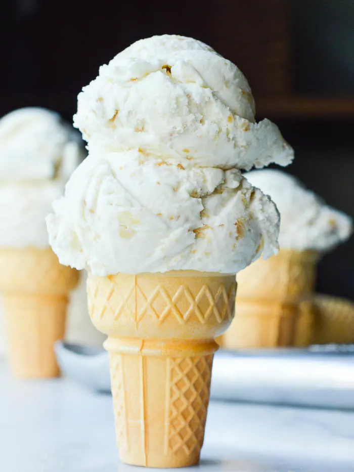 These Stewart's Ice Cream Flavors are the BEST, literally